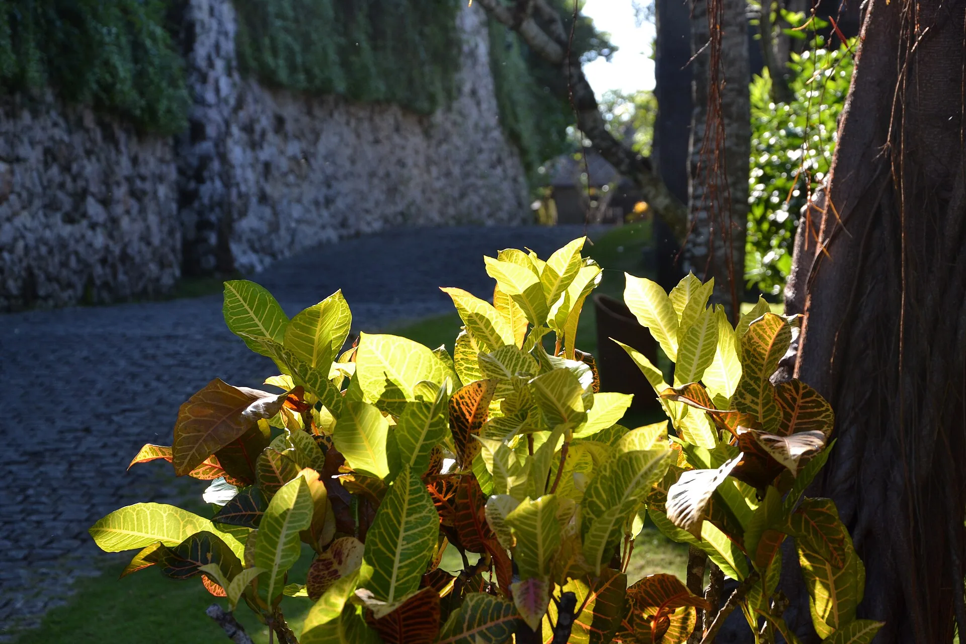 Bulgari Resort Bali villa met privezwembad op de klif boven de Indische Oceaan bij Uluwatu